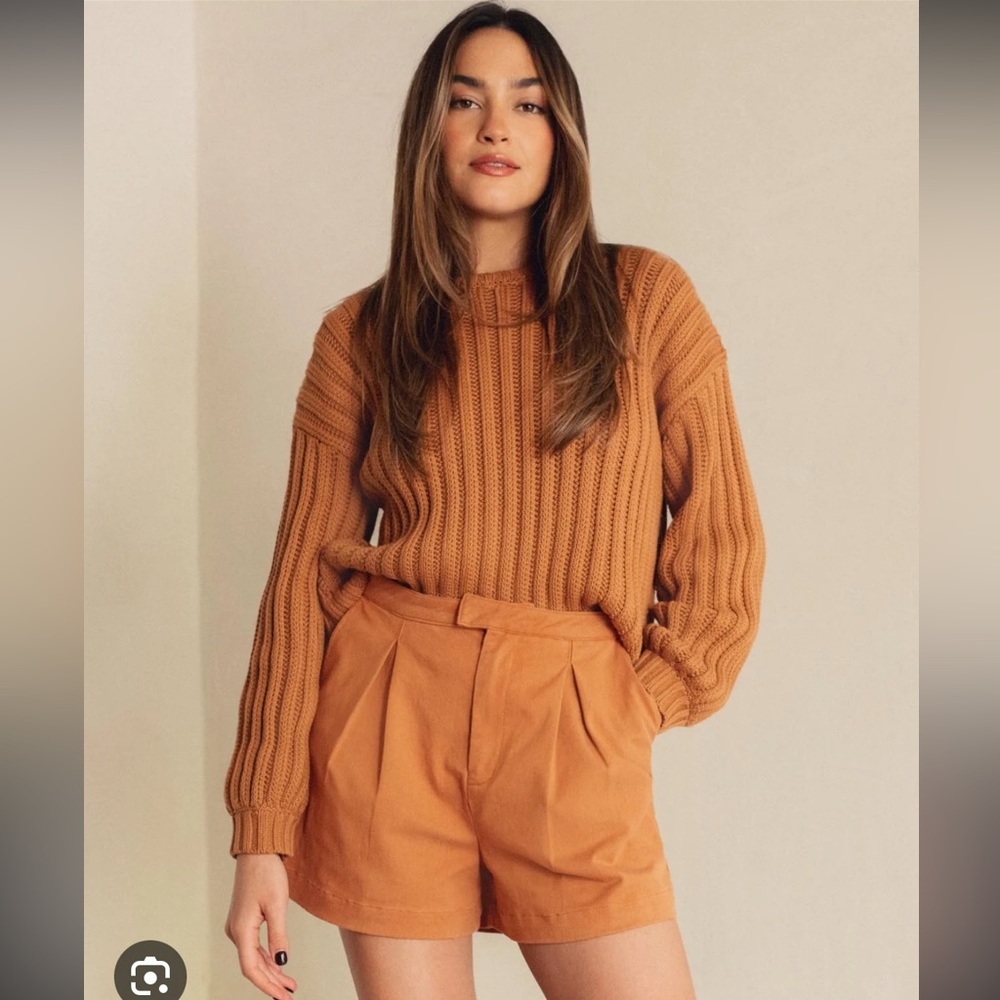 NWT RachelLove x Splendid High-Waist Shorts Size Large